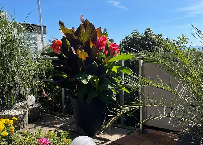 Apartment Moderne Wohlfühlwohnung Nahe Bodensee&messe *